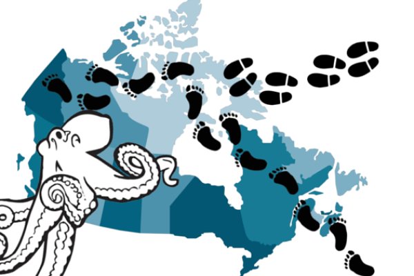 Кракен дарк площадка